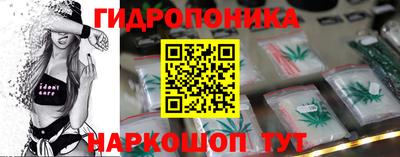 apvp Можга